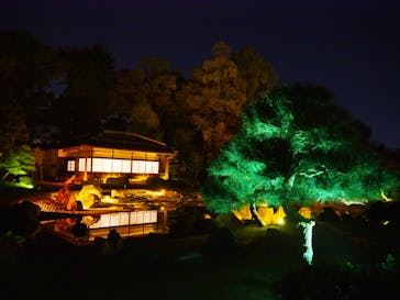 NAKED FLOWERS 2022 秋 世界遺産・二条城に投稿された画像（2022/11/11）