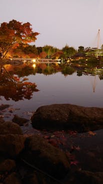 国営昭和記念公園 秋の夜散歩に投稿された画像（2022/11/11）