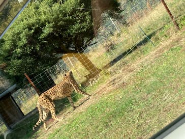 姫路セントラルパークに投稿された画像（2022/11/11）