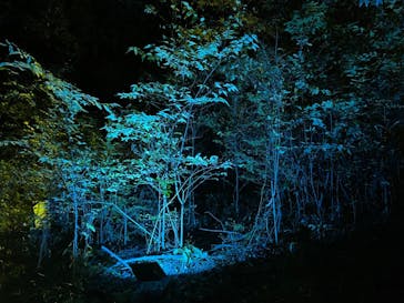 ムーミンバレーパークに投稿された画像（2022/11/11）