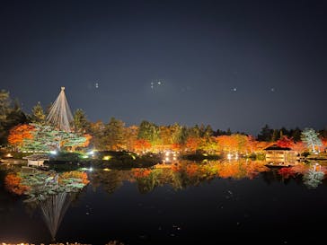 国営昭和記念公園 秋の夜散歩に投稿された画像（2022/11/11）