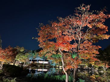 国営昭和記念公園 秋の夜散歩に投稿された画像（2022/11/11）