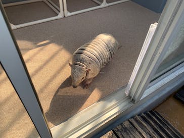 大分マリーンパレス水族館 「うみたまご」に投稿された画像（2022/11/11）