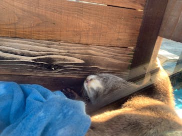 大分マリーンパレス水族館 「うみたまご」に投稿された画像（2022/11/11）