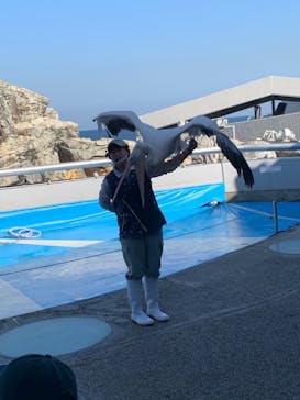 大分マリーンパレス水族館 「うみたまご」に投稿された画像（2022/11/11）