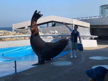 大分マリーンパレス水族館 「うみたまご」に投稿された画像（2022/11/11）