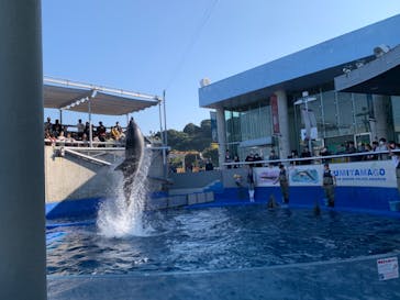 大分マリーンパレス水族館 「うみたまご」に投稿された画像（2022/11/11）