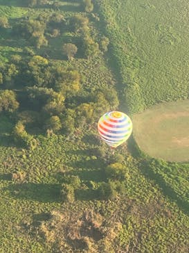 ウイニングバルーンクラブに投稿された画像（2022/11/11）