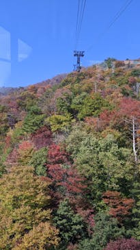 びわ湖バレイに投稿された画像（2022/11/11）