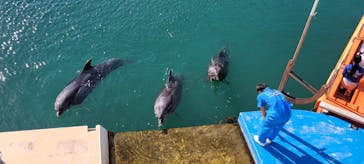 下田海中水族館に投稿された画像（2022/11/11）