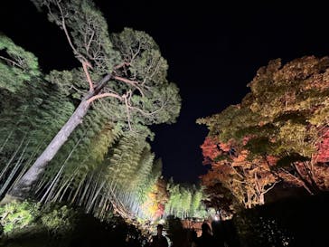 国営昭和記念公園 秋の夜散歩に投稿された画像（2022/11/12）