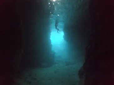 武藤潜水に投稿された画像（2022/11/12）