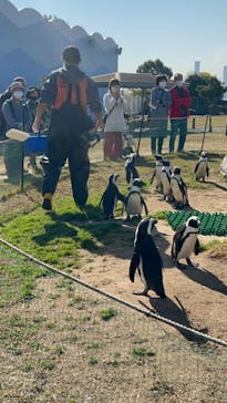 名古屋港水族館に投稿された画像（2022/11/12）