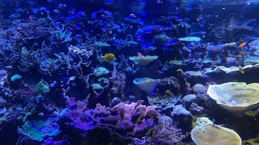 名古屋港水族館に投稿された画像（2022/11/12）