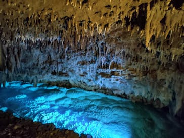 おきなわワールドに投稿された画像（2022/11/12）