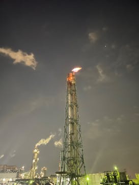 レクトラベルに投稿された画像（2022/11/12）