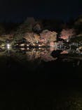 国営昭和記念公園 秋の夜散歩に投稿された画像（2022/11/12）