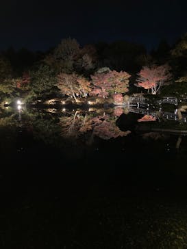 国営昭和記念公園 秋の夜散歩に投稿された画像（2022/11/12）