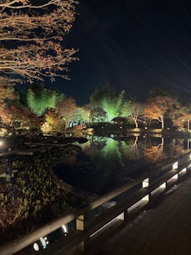 国営昭和記念公園 秋の夜散歩に投稿された画像（2022/11/12）