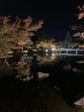 国営昭和記念公園 秋の夜散歩に投稿された画像（2022/11/12）