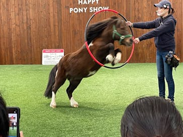 ノーザンホースパークに投稿された画像（2022/11/12）