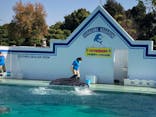 しながわ水族館に投稿された画像（2022/11/12）