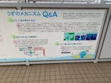 徳島県立 渦の道に投稿された画像（2022/11/12）