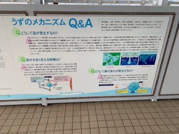徳島県立 渦の道に投稿された画像（2022/11/12）