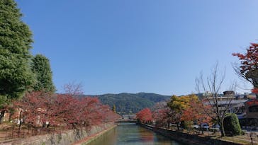 京阪電車に投稿された画像（2022/11/12）