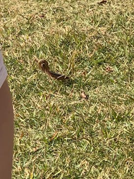 安城産業文化公園デンパークに投稿された画像（2022/11/12）