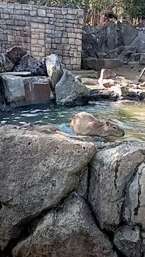 伊豆シャボテン動物公園に投稿された画像（2022/11/12）