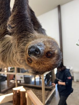しろとり動物園に投稿された画像（2022/11/12）