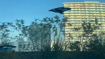 サンシャイン水族館に投稿された画像（2022/11/12）