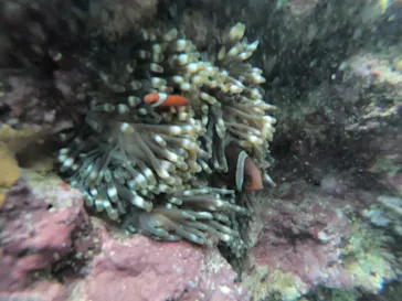 武藤潜水に投稿された画像（2022/11/12）