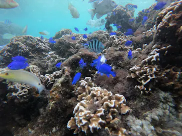 武藤潜水に投稿された画像（2022/11/12）