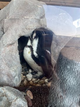 京都水族館に投稿された画像（2022/11/12）