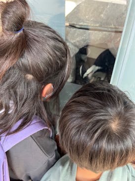 京都水族館に投稿された画像（2022/11/12）