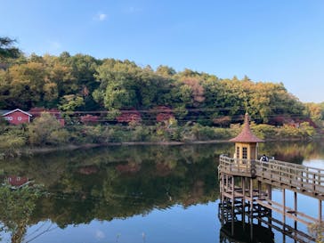 ムーミンバレーパークに投稿された画像（2022/11/12）