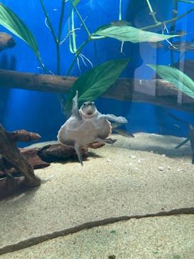 名古屋港水族館に投稿された画像（2022/11/12）