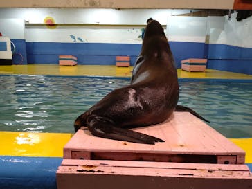 ゼロ距離水族館 伊勢シーパラダイスに投稿された画像（2022/11/12）