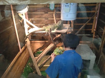 ゼロ距離水族館 伊勢シーパラダイスに投稿された画像（2022/11/12）