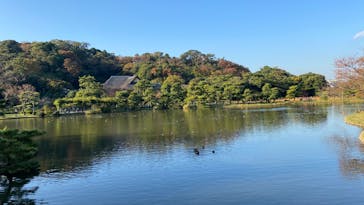 三溪園に投稿された画像（2022/11/12）