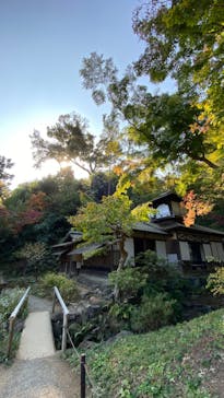 三溪園に投稿された画像（2022/11/12）