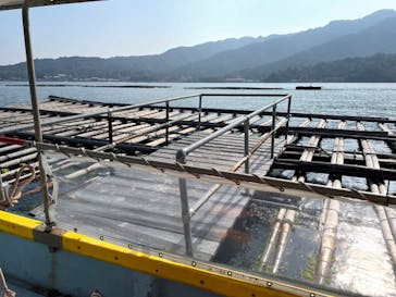 島田水産　かき小屋に投稿された画像（2022/11/12）