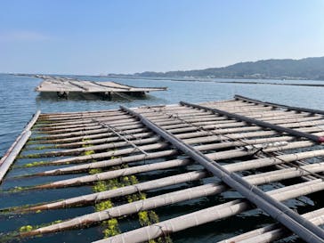 島田水産　かき小屋に投稿された画像（2022/11/12）