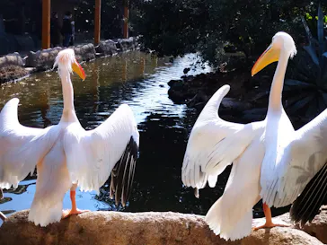 神戸どうぶつ王国に投稿された画像（2022/11/12）