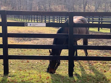 ノーザンホースパークに投稿された画像（2022/11/12）