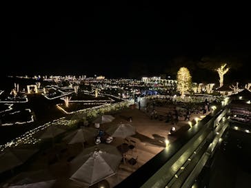 いばらきフラワーパークに投稿された画像（2022/11/12）