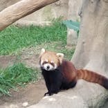 神戸どうぶつ王国に投稿された画像（2022/11/12）