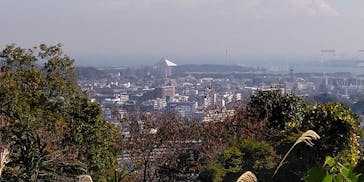 横浜市立金沢動物園に投稿された画像（2022/11/12）